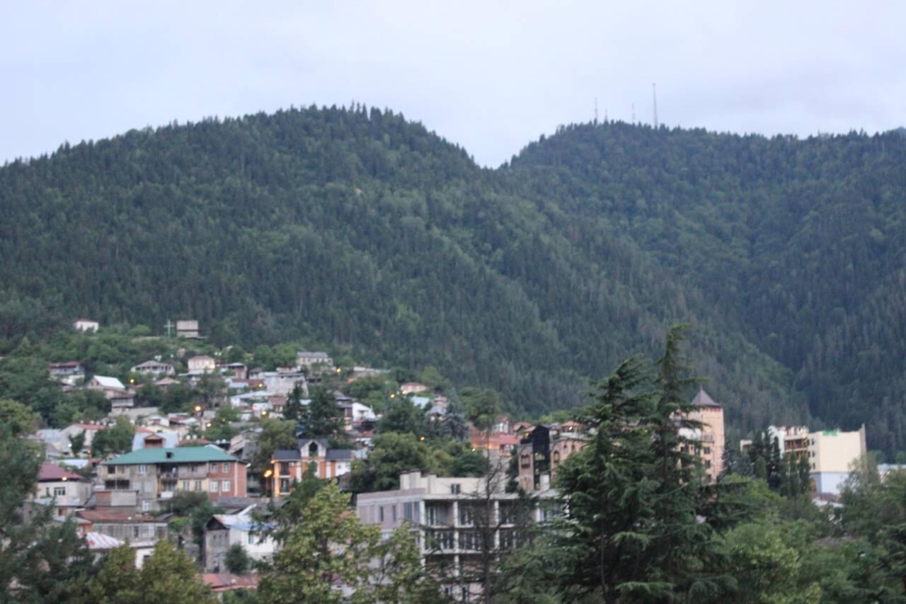 Diasamidzeebi Apartment Borjomi Exterior photo