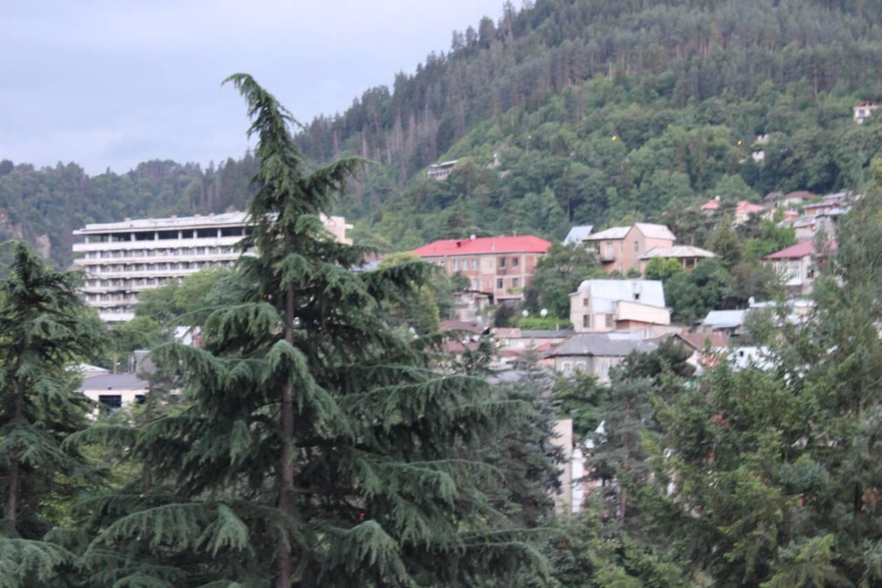 Diasamidzeebi Apartment Borjomi Exterior photo