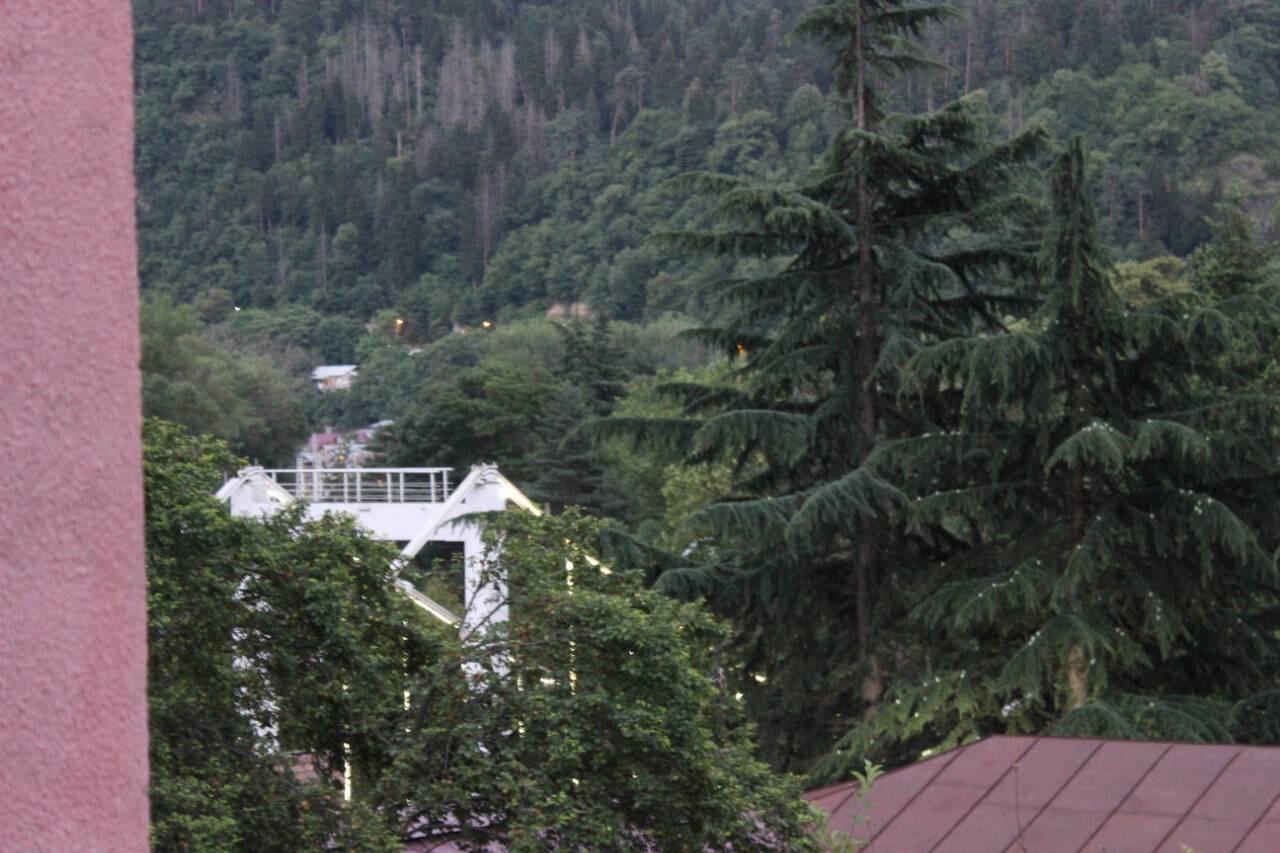 Diasamidzeebi Apartment Borjomi Exterior photo