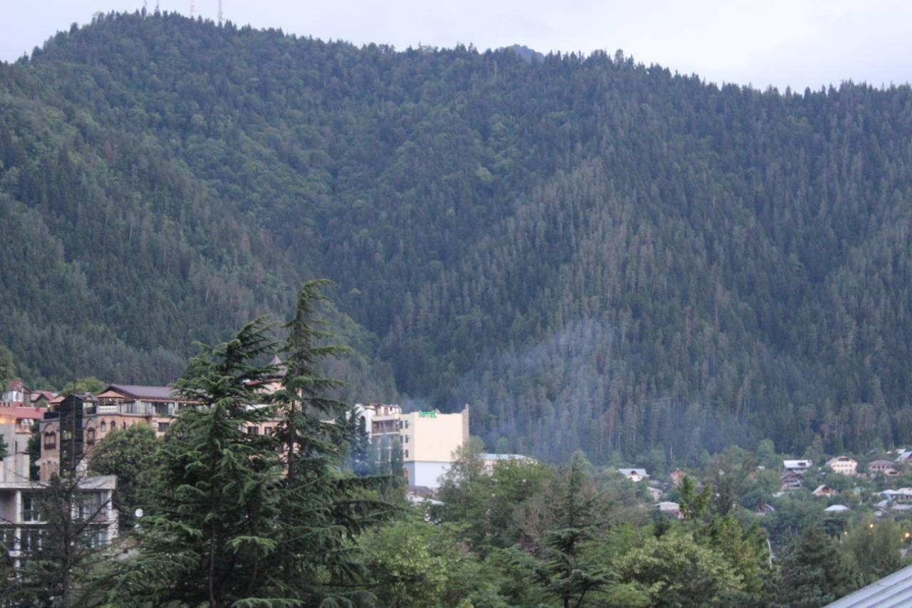 Diasamidzeebi Apartment Borjomi Exterior photo